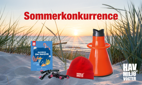 Havmiljøvogterne sommerkonkurrence