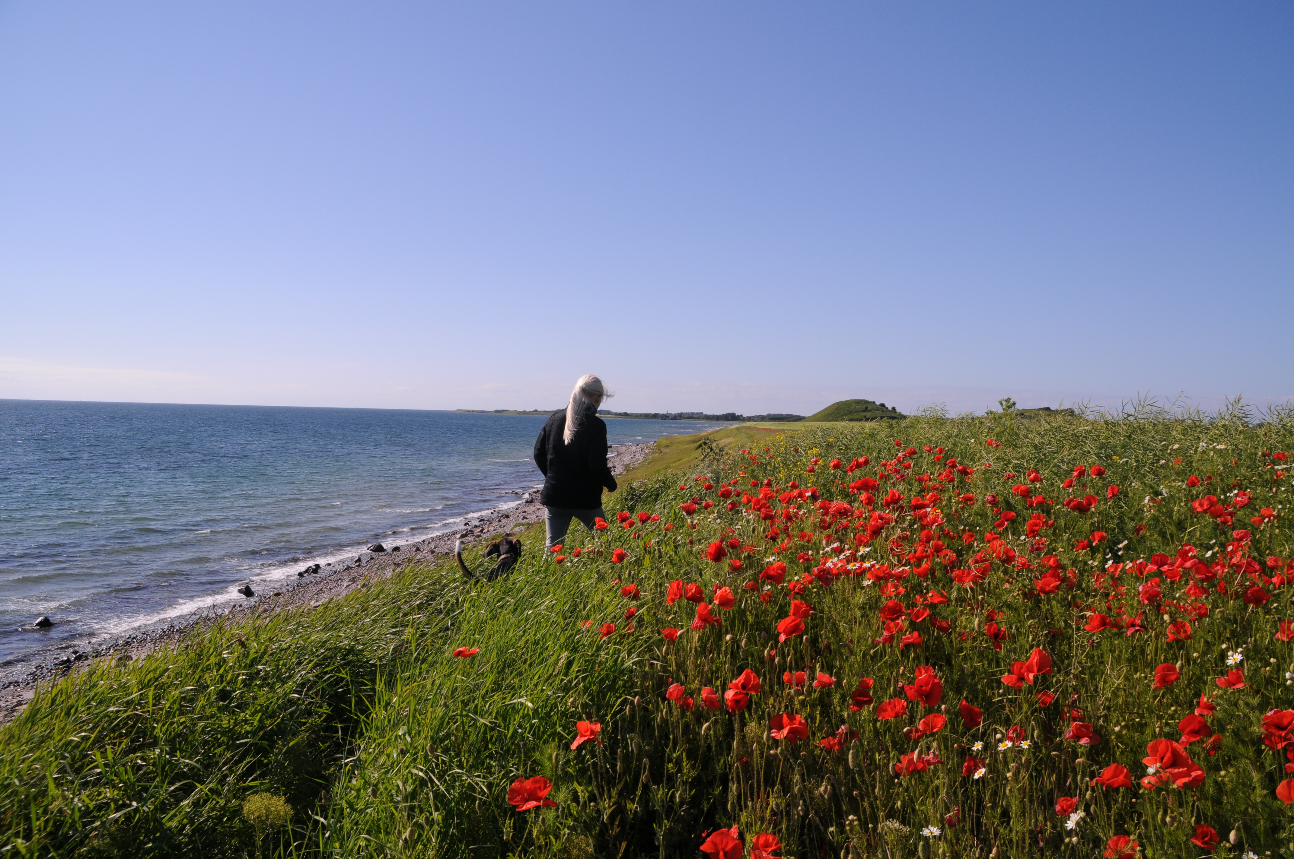 Sejerø - foto: Lise Mortensen