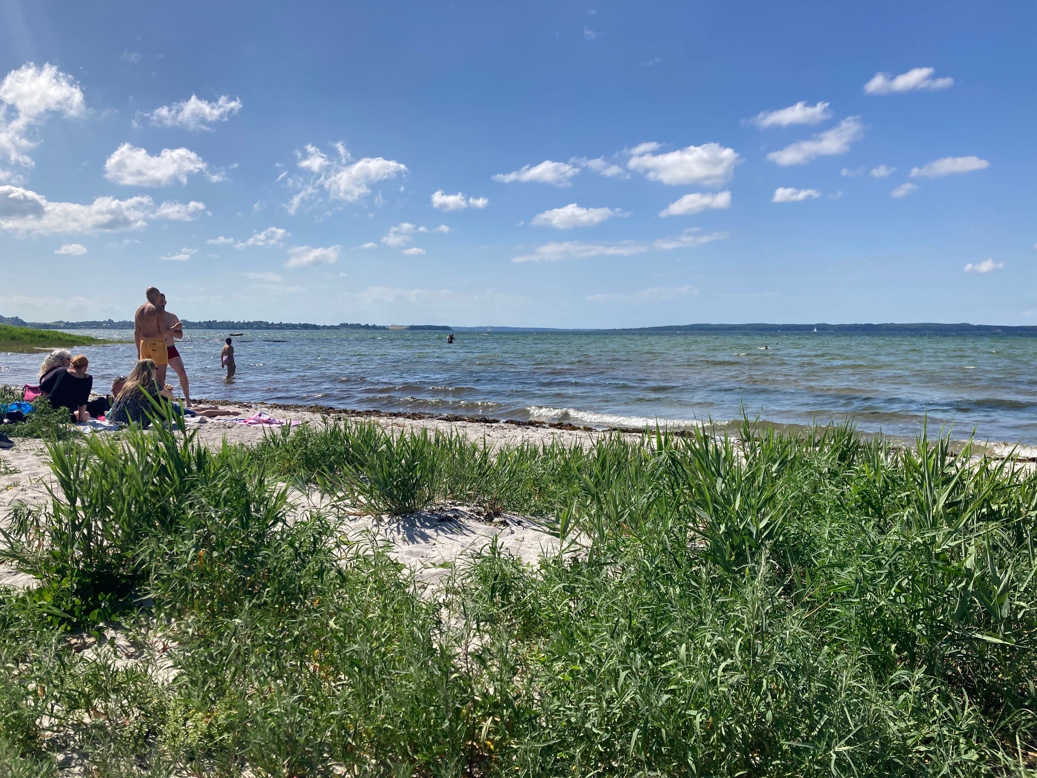 Familienattraktionen auf Orø | havneguide.dkkano