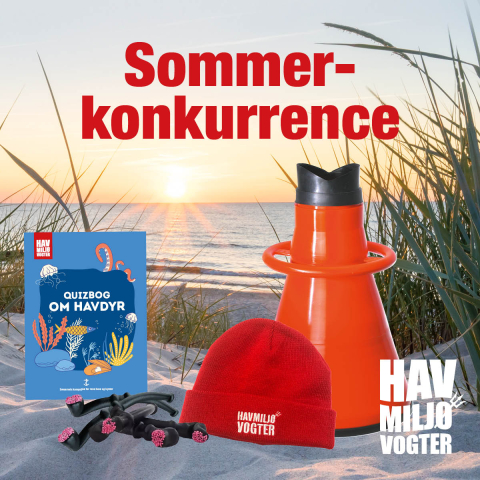Sommerkonkurrence 2024
