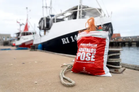Havmiljø og bierhvervsfisker