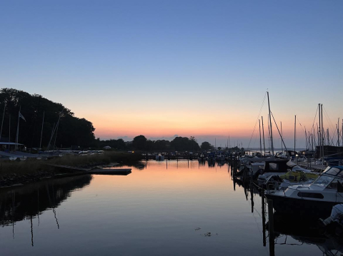 Sommer hilsen Roskilde Havn