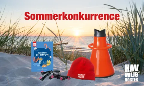 Havmiljøvogterne sommerkonkurrence