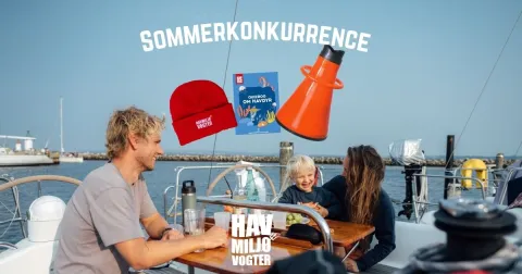 Sommerkonkurrence Miljøvogter