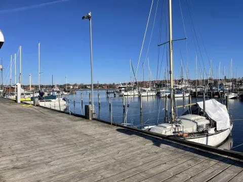 Roskilde Havn Sommer
