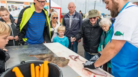 Oplev frisk fisk - læs mere på havneguide