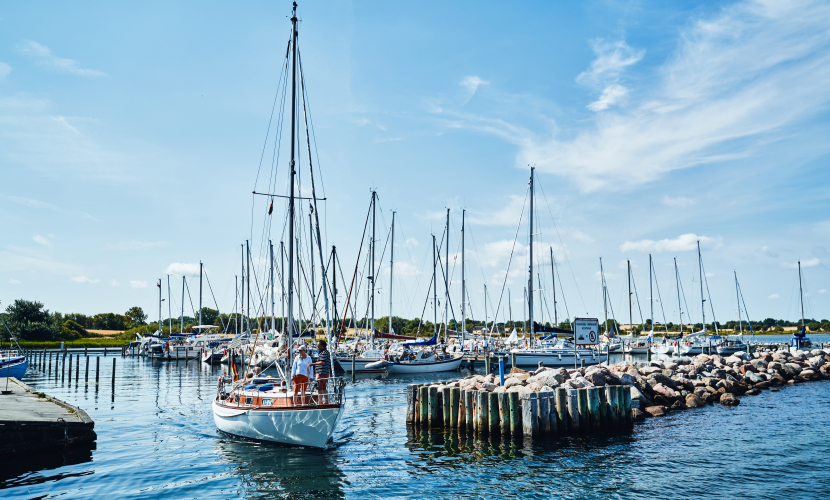 lyoe-naturturisme-0343.jpg Lyø