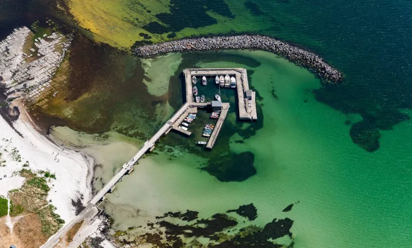 Snogebæk Havn