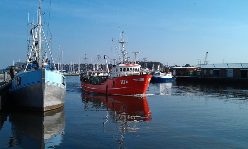 Gilleleje Havn | Havneguide