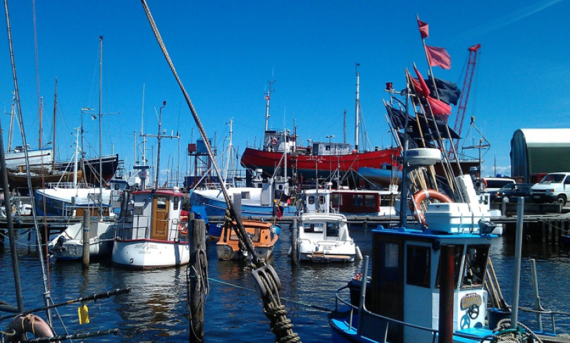 Gilleleje Havn | Havneguide