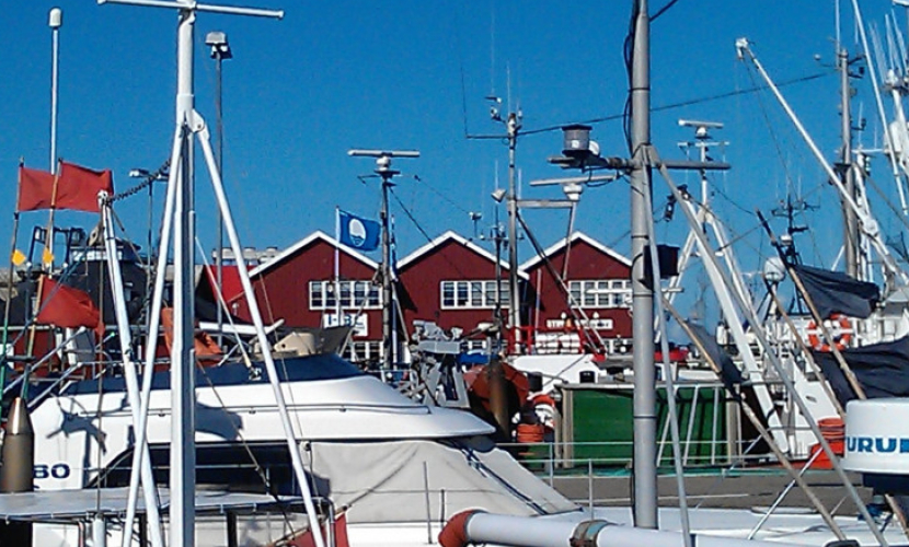 Gilleleje Havn havneguide.dk