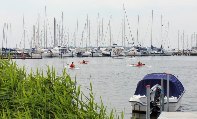 Irreplaceable Hvornår udvikling Middelfart Marina | havneguide.dk