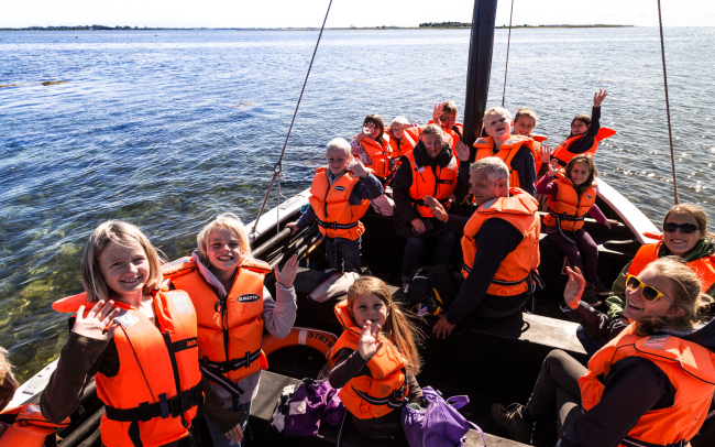 Sælsafari på Strynø