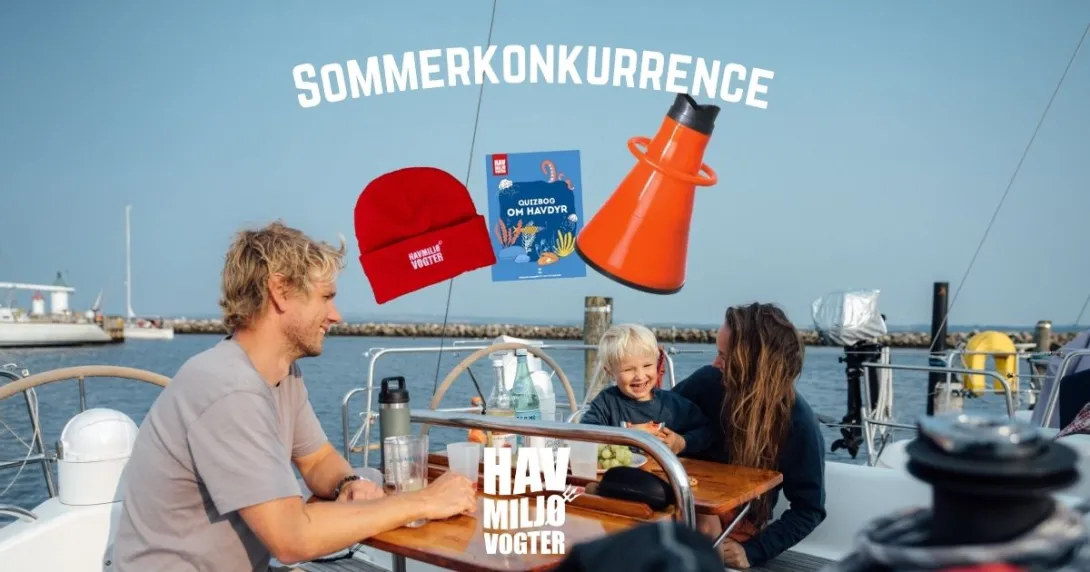 Sommerkonkurrence Miljøvogter