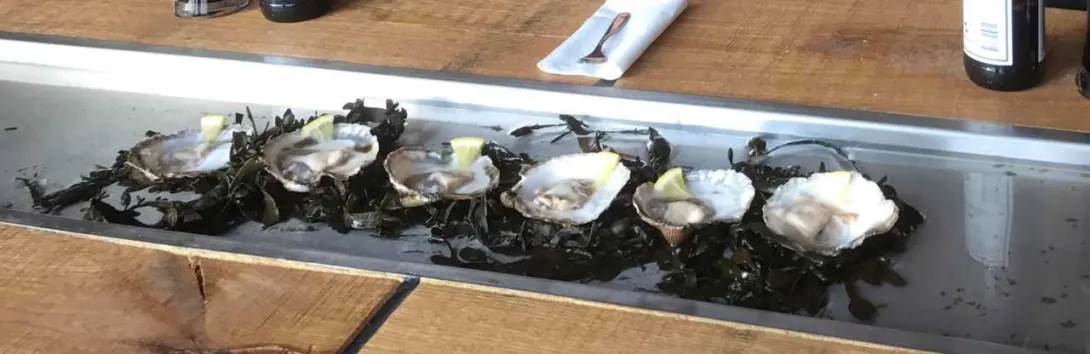 Østers fra Limfjorden